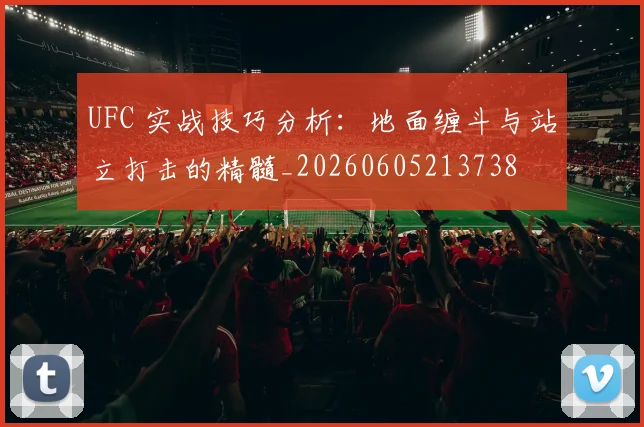 UFC 实战技巧分析:地面缠斗与站立打击的精髓_20260605213738