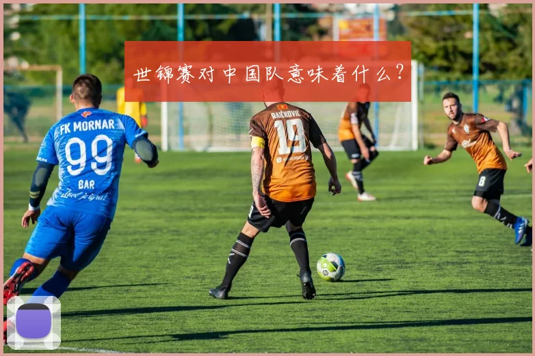 世锦赛对中国队意味着什么?