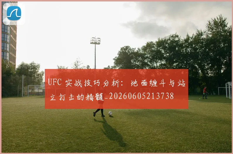UFC 实战技巧分析：地面缠斗与站立打击的精髓_20260605213738